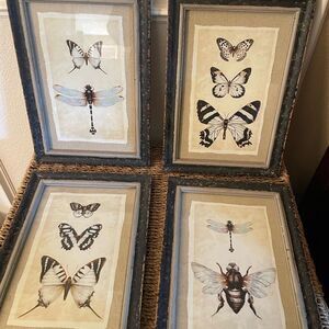 Creative Co-Op Distressed Antique Look Set of 4 Butterfly-Insect Framed Art